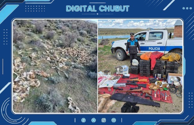 Gobernador Costa (Fotos): un nuevo allanamiento expone la red de caza furtiva y comercialización con 1.000 restos de guanaco - DIGITAL CHUBUT